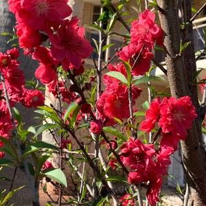 Meet your Posher, Jane